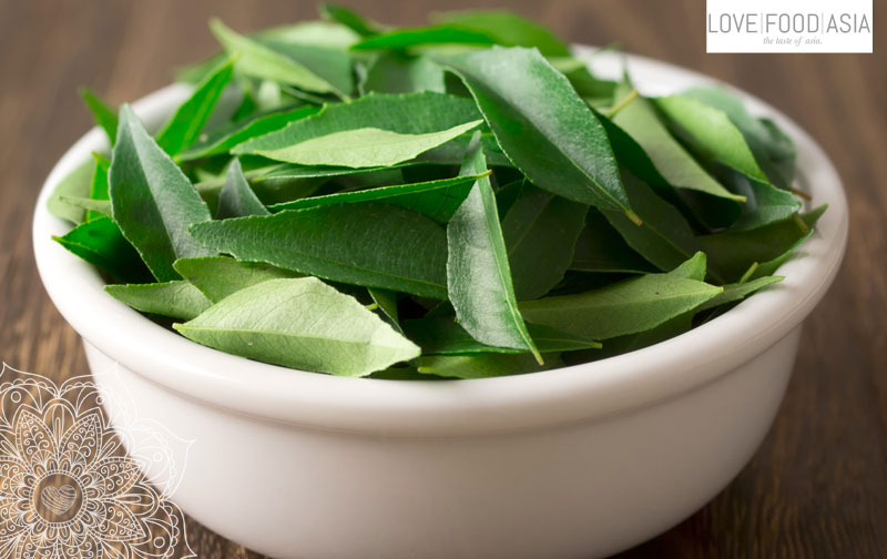 Curry Leaves (Murraya koenigii)